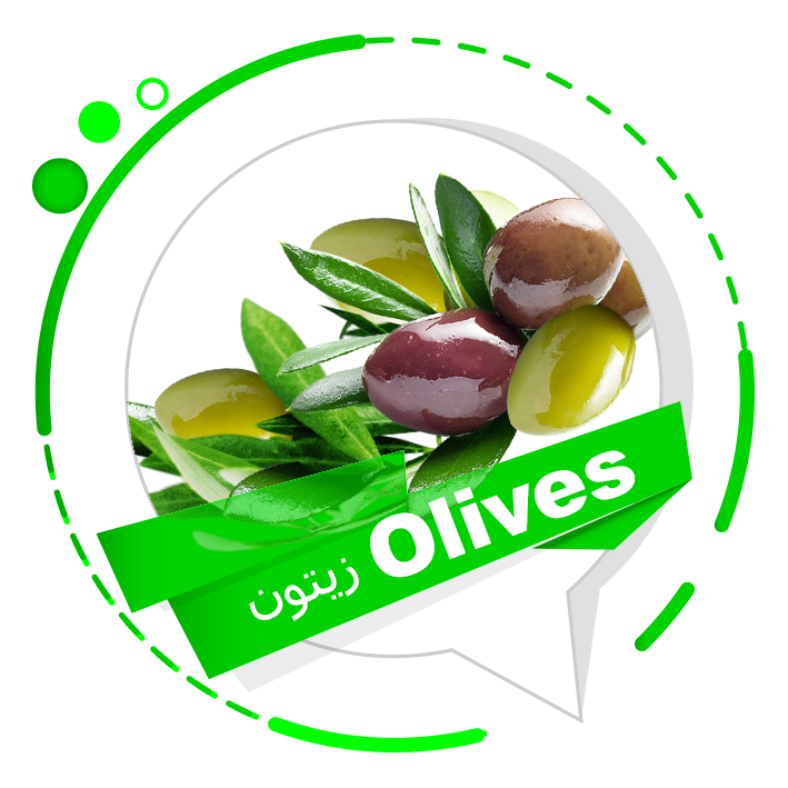 Olives(زیتون)